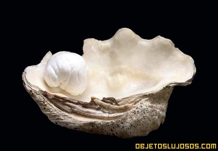 Perla-mas-grande-del-mundo-palawan