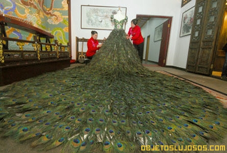 Vestido de Plumas de Pavo Real 1