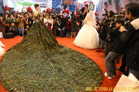 Vestido de plumas de Pavo Real 3