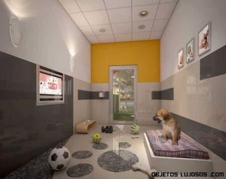Lujo para animales